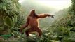 Funny Ape Song. Cartoon Parody. Dance Music Pop Songs. (Dancing Gorilla) Kids Cartoons movies