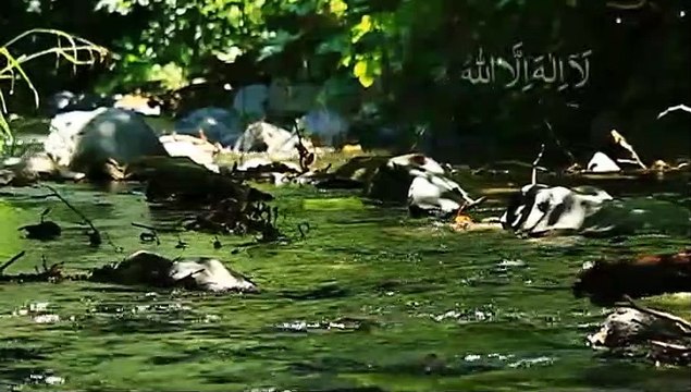 la ilaha illallah Allah Allah kaisa piyara nam hay Hazrat Feroz Memon Zikar Azkaar Zikar Allah