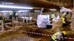 Greek subway workers unearth ancient Roman baths while digging metro station
