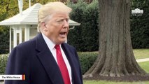 Trump Claims Russian 'Collusion Thing Was A Hoax' Citing Serious Doubts About Steele Dossier
