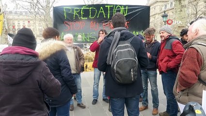 - Paris’in ortasında koyunlu gösteri- Fransız köylü: “12 bin koyunum telef oldu”