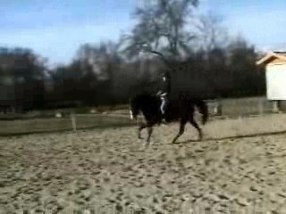 Inset galop 2