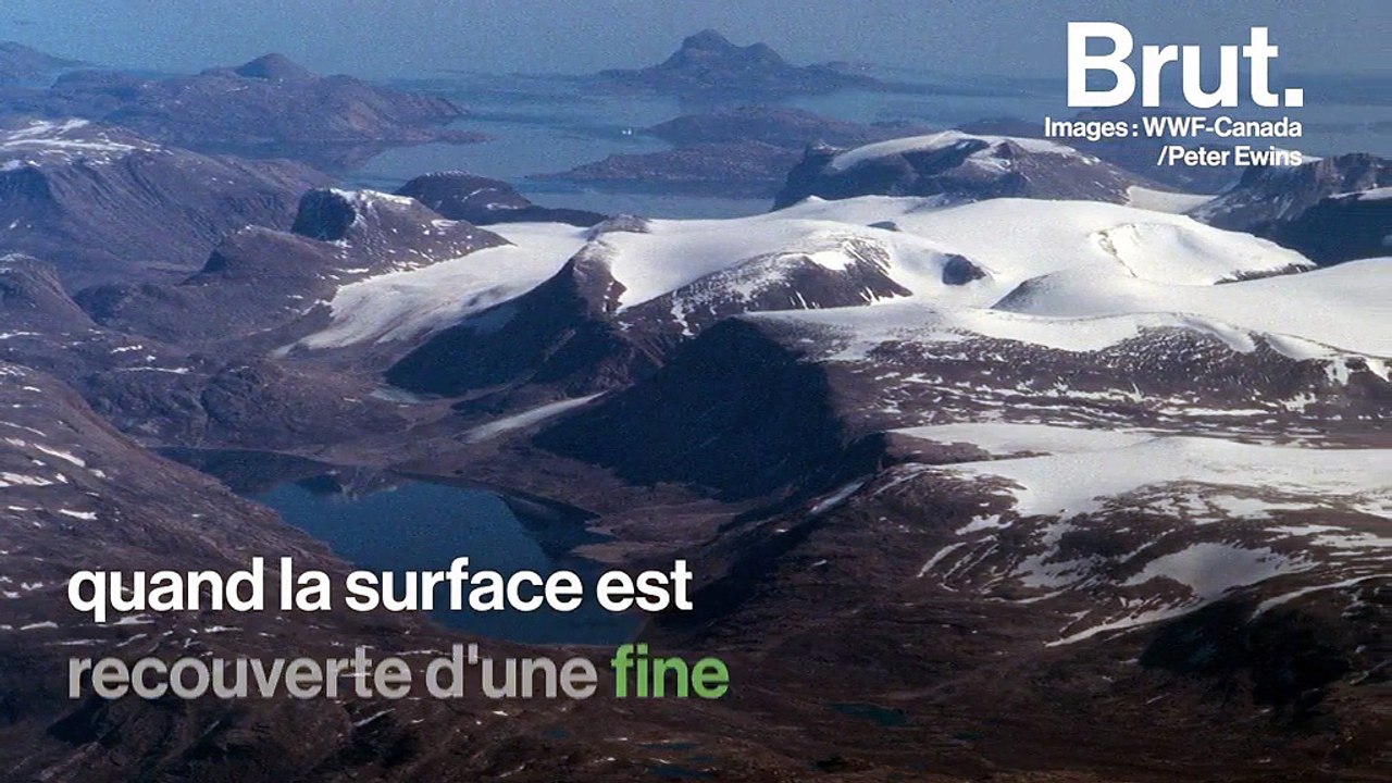 Comment de mystérieuses fleurs de glace apparaissent à la surface des mers polaires