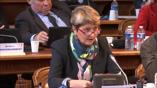 Christine RENAUDIN-JACQUES. Budget Primitif 2019 Action sociale. 17 décembre 2018