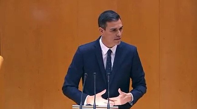 Pedro Sánchez en sesión plenaria en el Senado