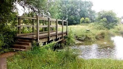 Fishbourne water meadows rivers and bridge