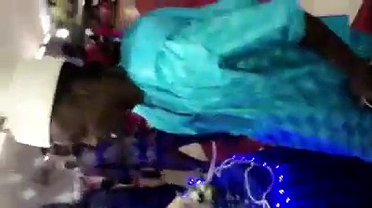 Ji raille son jumeau Pi et son épouse Eva