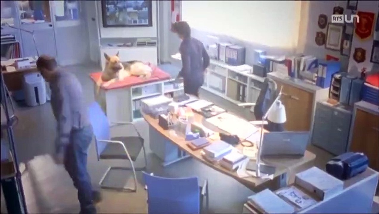 Rex, chien flic S14E12 FRENCH