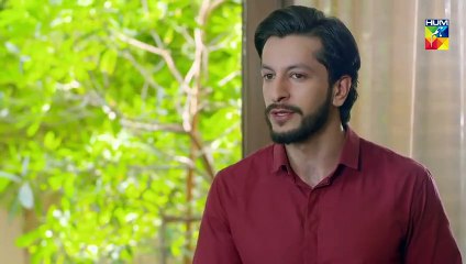Lamhay Epi 17 HUM TV Drama 18 December 2018
