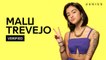 Malu Trevejo "Swipe Dat" Official Lyrics & Meaning | Verified