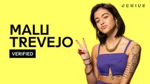 Malu Trevejo "Swipe Dat" Official Lyrics & Meaning | Verified