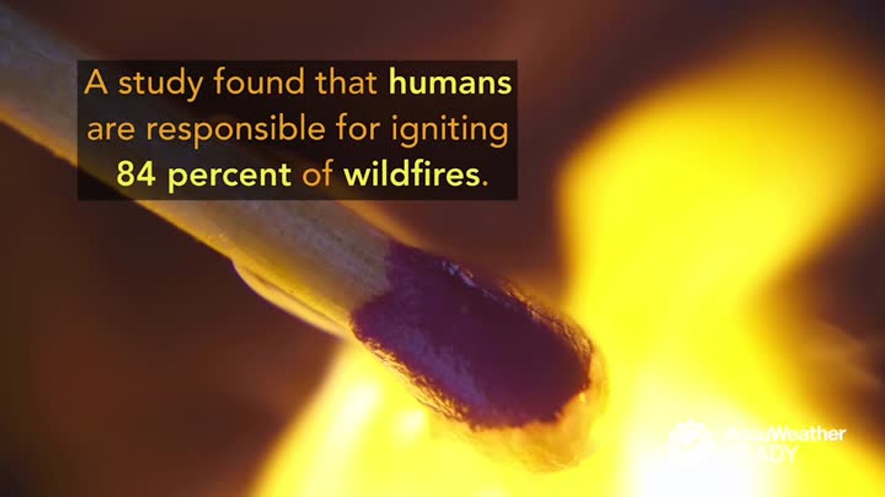 How to prevent wildfires from starting