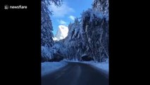 This is what driving through Yosemite in the dead of winter looks like