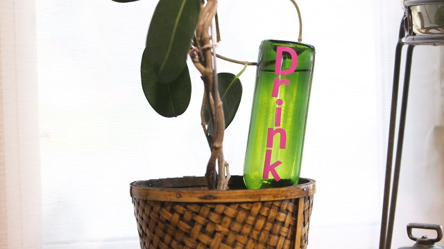 Never neglect your plants again with this DIY wine bottle waterer