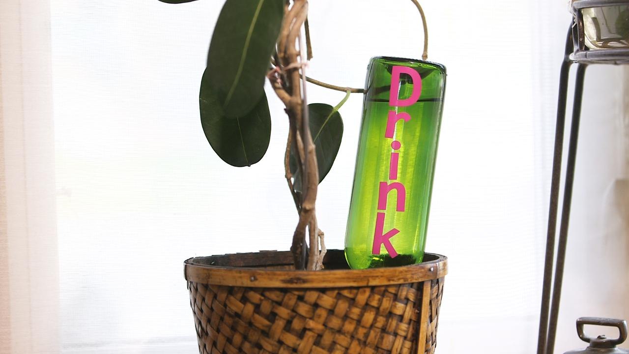 Never neglect your plants again with this DIY wine bottle waterer