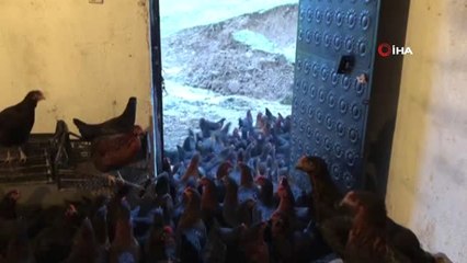 Devlet Desteğiyle Kendi İşinin Patronu Oldu