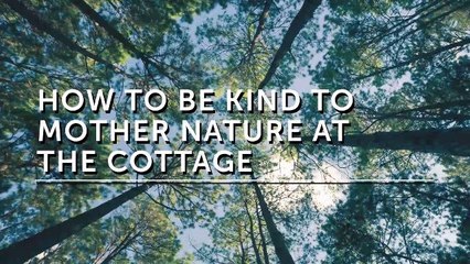 5 tips for a greener cottage experience