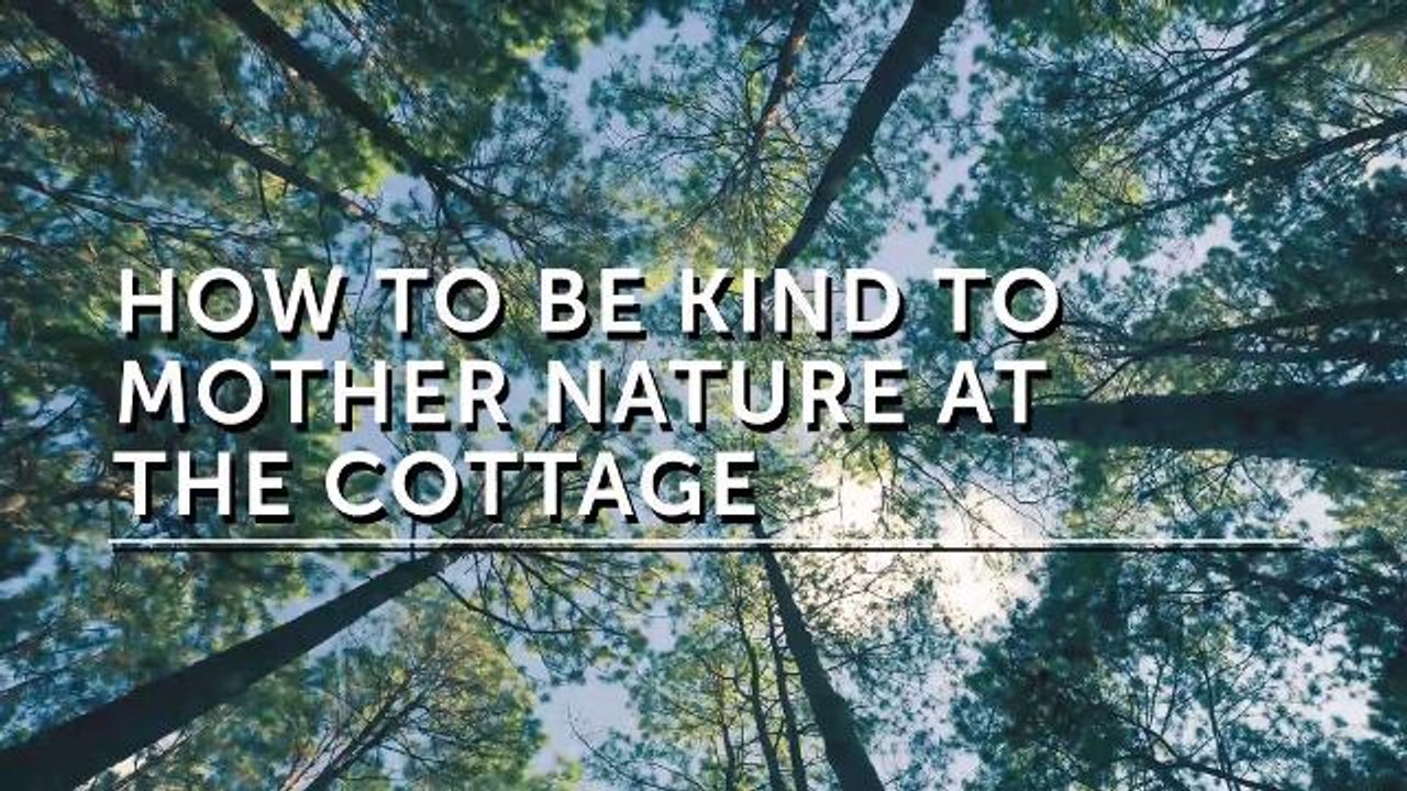 5 tips for a greener cottage experience