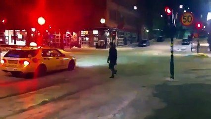 Лучшего друга видно из далека