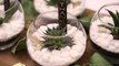 Add a Little Rustic Charm to Your Wedding with These Terrarium Favours