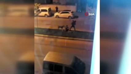 Magandalar köpekleri kemerle dövdü