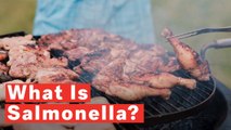 What Is Salmonella? Symptoms And Causes Of The Infectious Disease