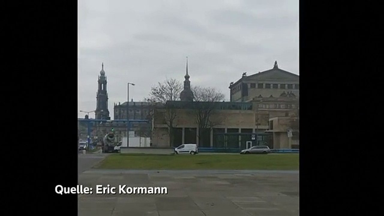 Zebras galoppieren durch Dresden