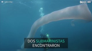 Submarinistas hacen un extraño hallazgo bajo el mar