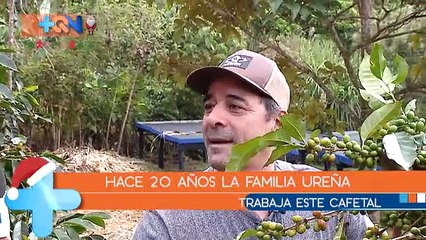 mqn-Cómo-era-la-época-navideña-en-los-cafetales-181218