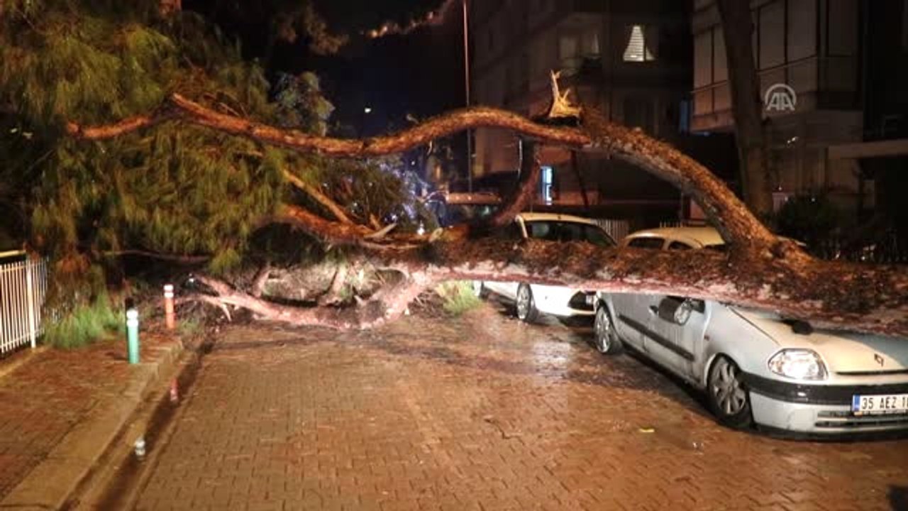 Yerinden Sökülen Ağaç Otomobilin Üzerine Devrildi