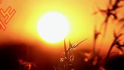 마카오카지노〔〔⊣ MW381。CoM ⊢〕〕예스카지노주소