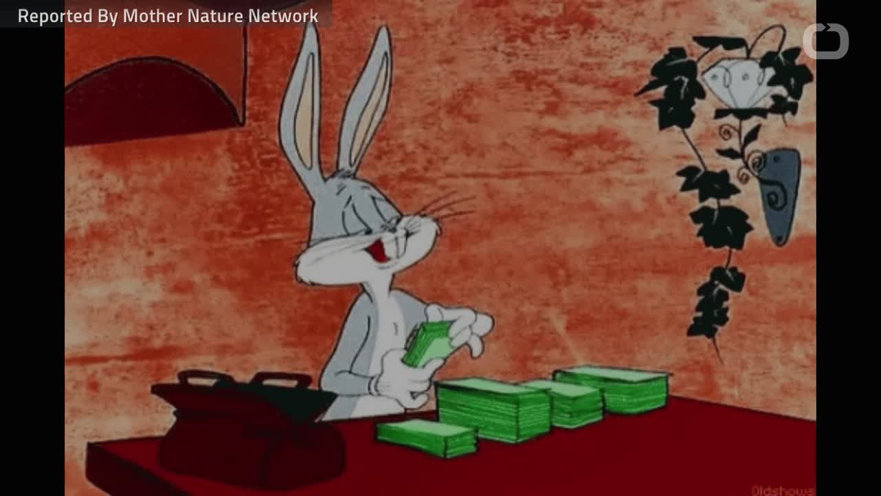 Is Cash The Best Present?