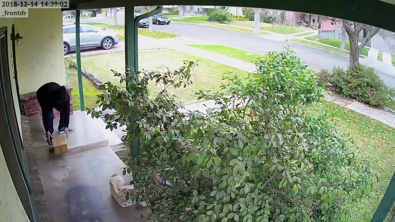 Il piège un voleur de colis en le remplissant d'excréments de son chat.