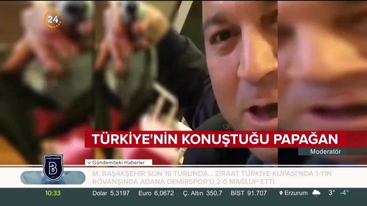 24 TV görüntüledi