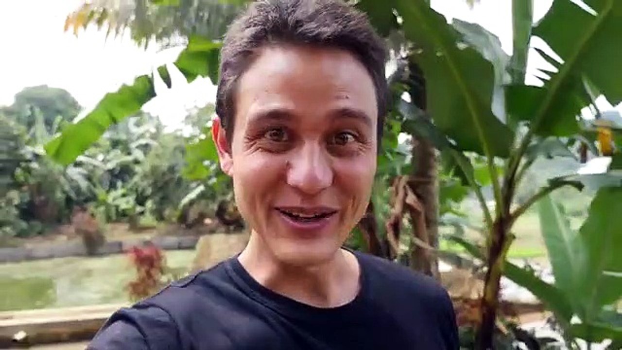 indonesian street  food travel