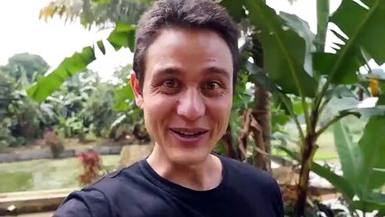 indonesian street  food travel