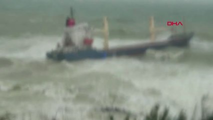 Şile'de Kargo Gemisi Kıyıya Oturdu