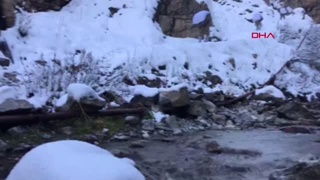 Van'da 4 Sığınakta PKK Silah ve Mühimmatı Ele Geçirildi