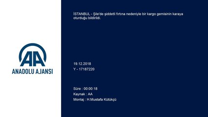 Şile'de kargo gemisi karaya oturdu - İSTANBUL