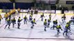 Sports : Hockey sur Glace, HGD vs Strasbourg - 19 Décembre 2018