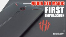 Nubia Red Magic Gaming phone First impression with PUBG Gameplay