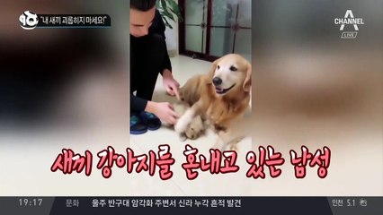 “내 새끼 괴롭히지 마세요!”