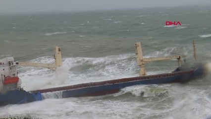 Şile'de Kargo Gemisi Kıyıya Oturdu