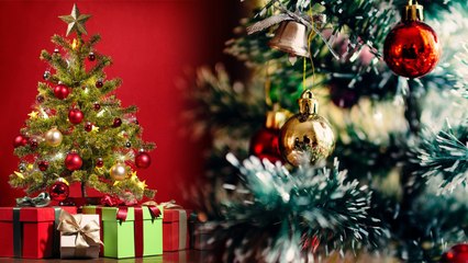 Christmas Tree: Brings Good luck | इस तरह वास्‍तु दोष दूर करता है क्र‍िसमस ट्री | Boldsky