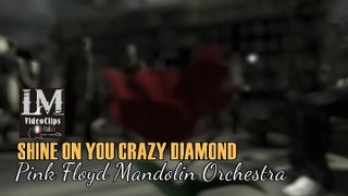 SHINE ON YOU CRAZY DIAMOND   (Pink Floyd Mandolin Orchestra)