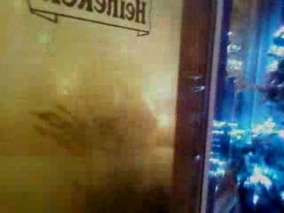 amsterdam 1er janvier