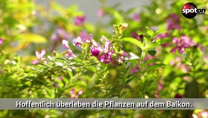 So startest du deinen Urlaub garantiert stressfrei