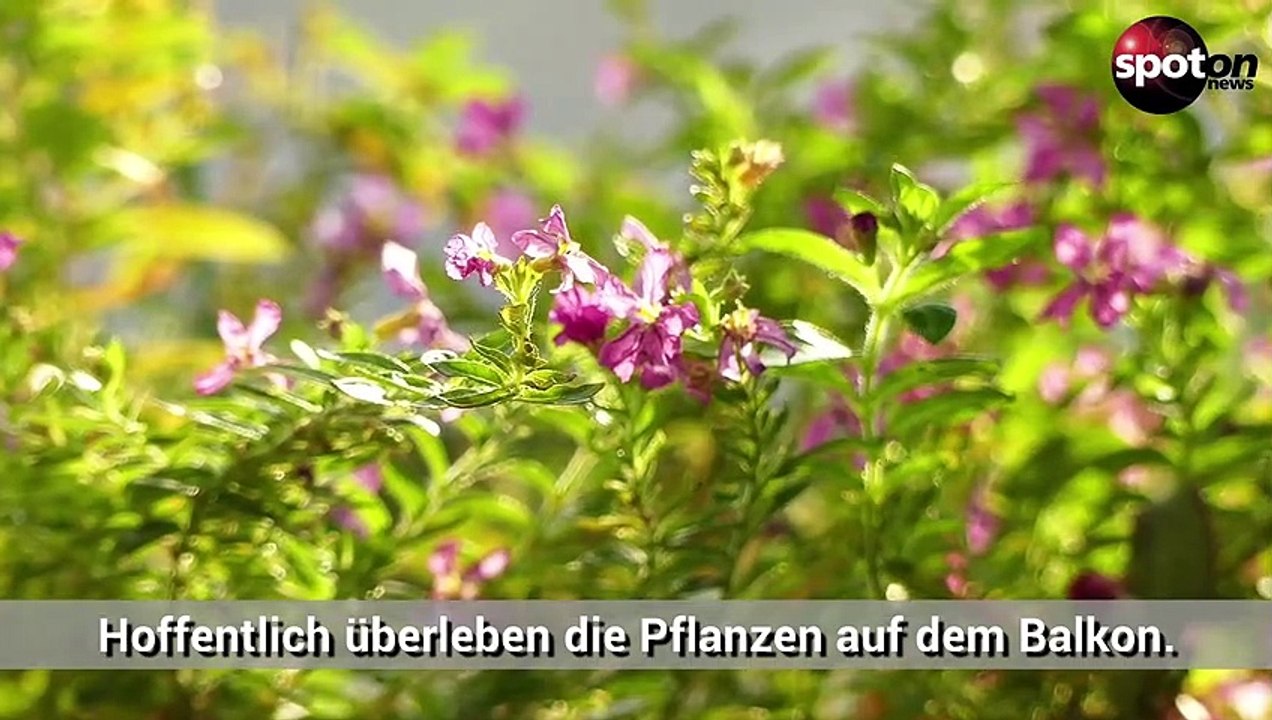 So startest du deinen Urlaub garantiert stressfrei