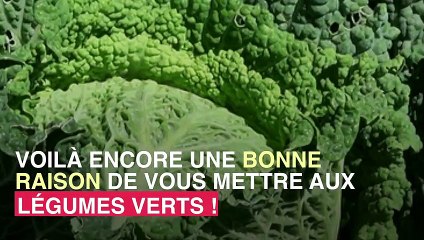 Légumes verts : leur consommation réduirait la graisse autour du foie