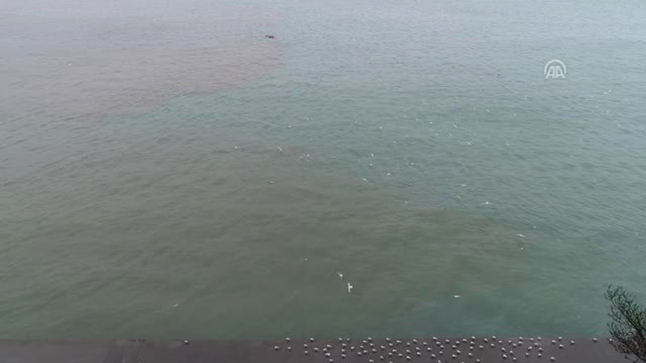 Sağanak Denizin Rengini Değiştirdi - İstanbul